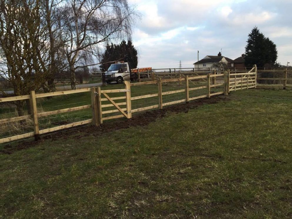 Fencing Project in Wisbech